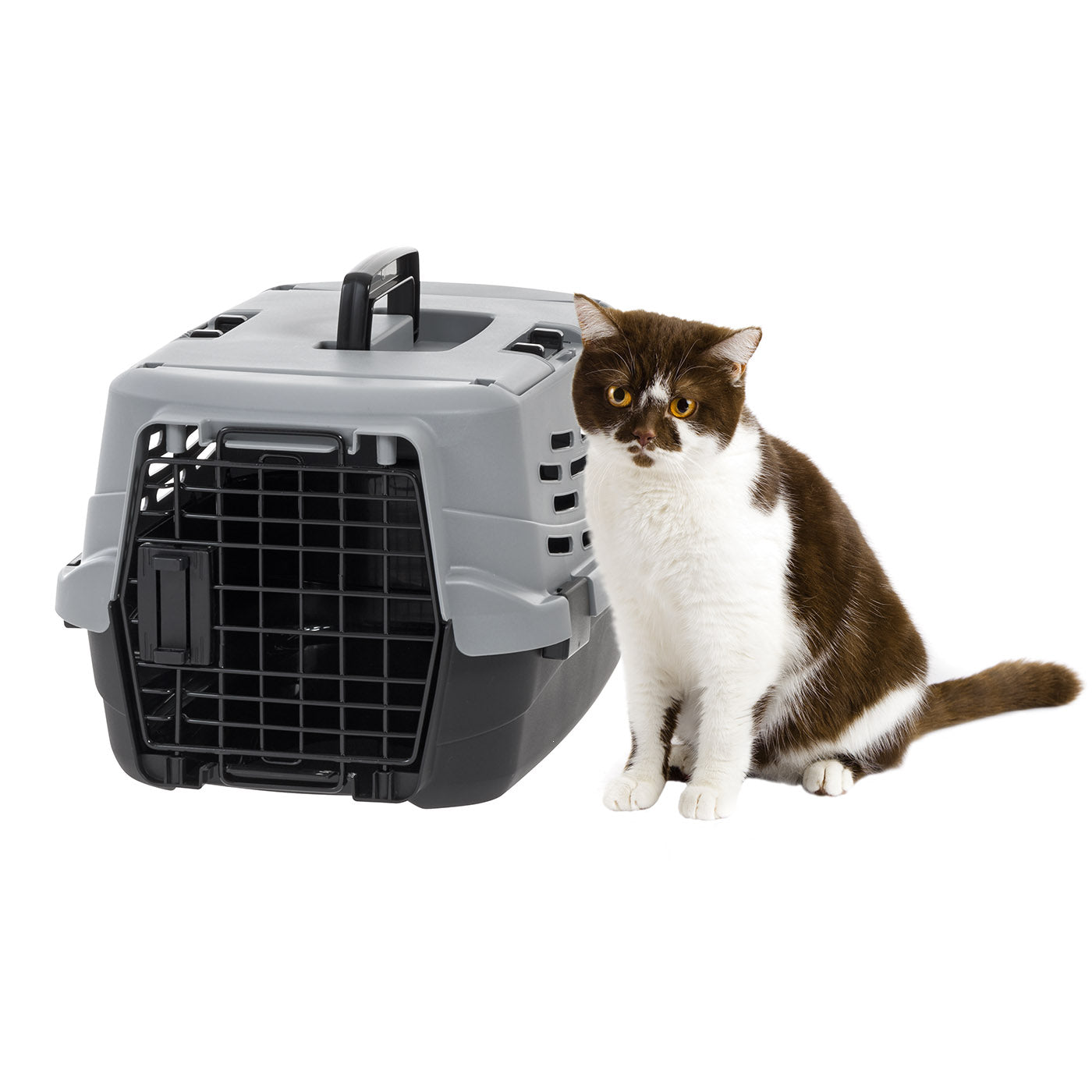 Pet Travel Carrier with Front and Top Access - IRIS USA, Inc.