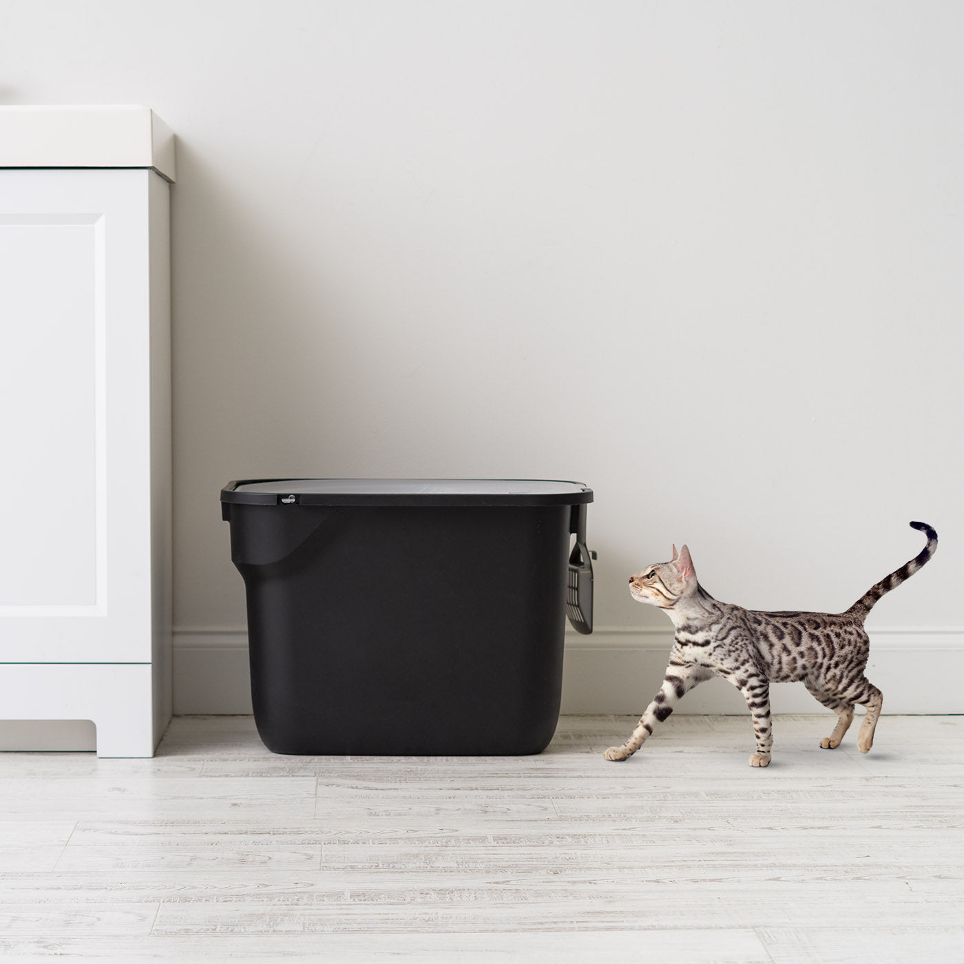 Iris cat litter box with scoop hotsell