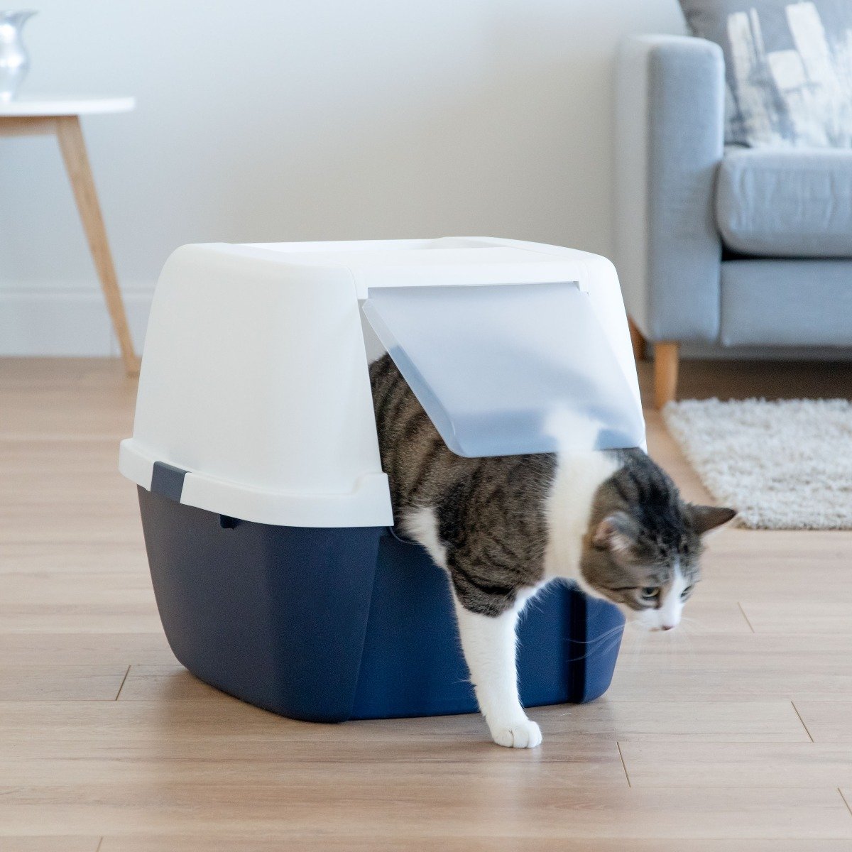 Iris jumbo litter box best sale