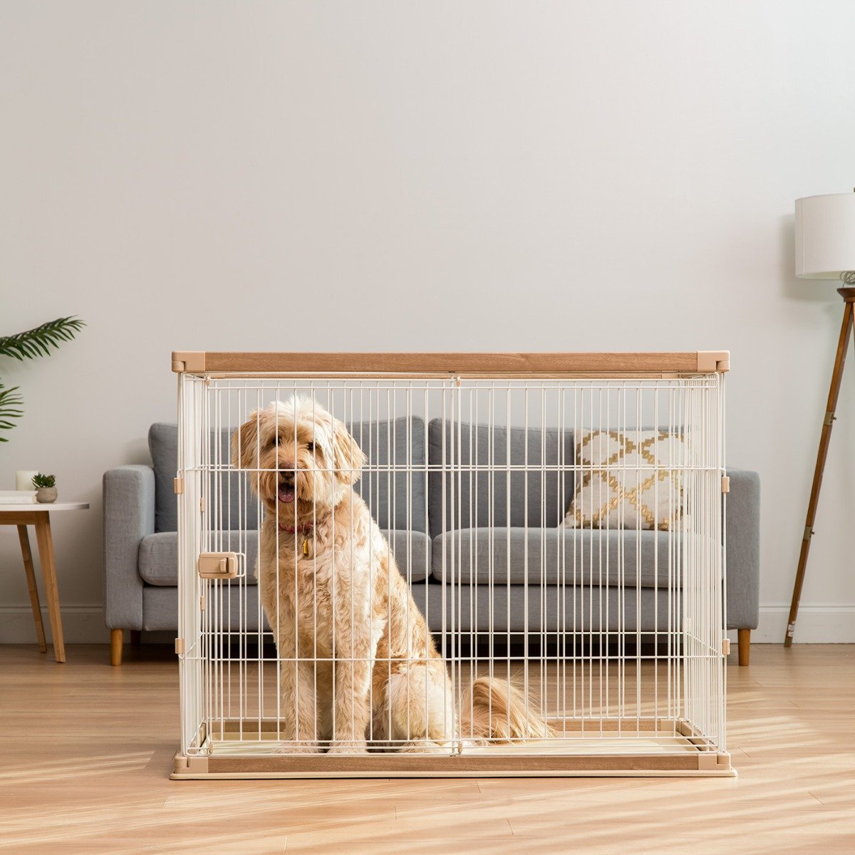 Wire Open Pet Pen - X-Tall - IRIS USA, Inc.